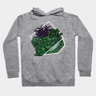 Moss Terrarium Hoodie